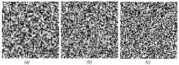 Soares & Silva Neural Networks Applied for impulse Noise Reduction from Digital Images 10 dots), which denotes the presence of noise and acts as a target image for the proposed detector.