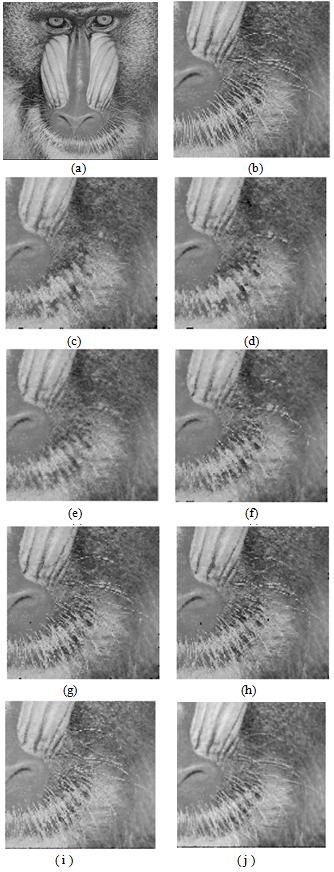 Soares & Silva Neural Networks Applied for impulse Noise Reduction from Digital Images 12 age retrieval methods.