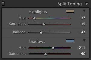 6Shift the Balance After establishing color values for Highlights and Shadows, you can refine the effect by shifting the value for the Balance slider.