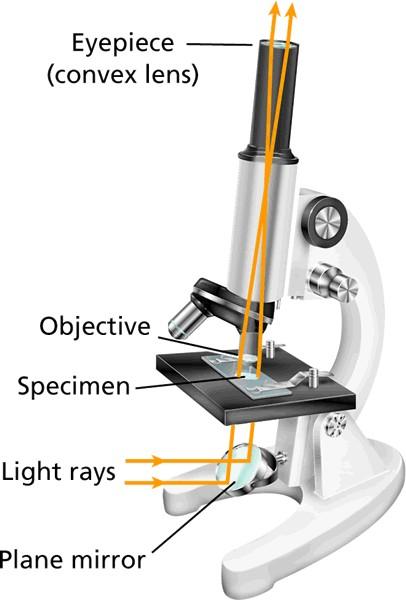 Optical Instruments Microscope- uses a combination of lenses to produce and