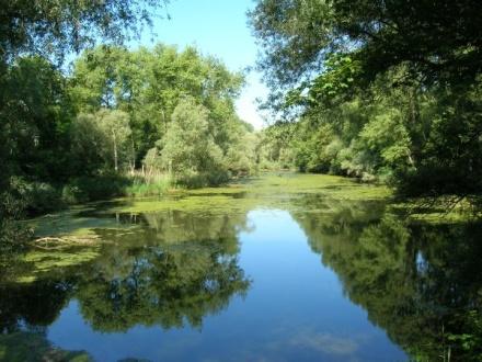 Case study: Lebendige Rheinauen bei Karlsruhe! Goal: maintain and restore important habitat and sites of importance for European species; improve network of the Rhine and its floodplains!