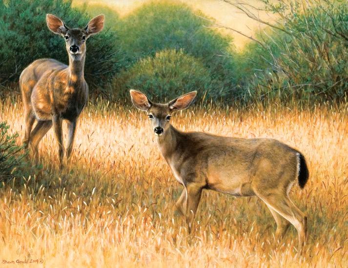 artists. Big Horn Galleries represents many well-known artists from Cody as well as other areas of the country and beyond.