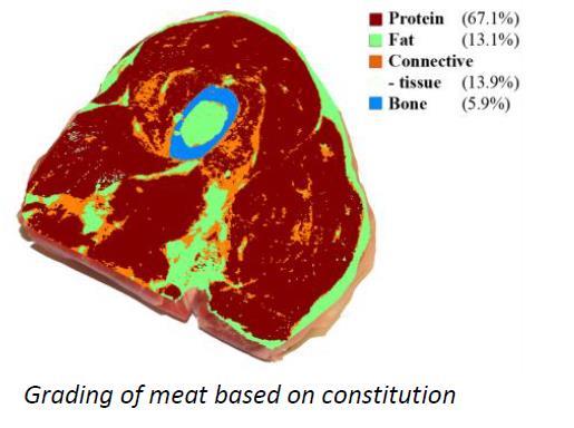 Grading of Meat Use the UmBio system to get a high resolution image of content and distribution in the meat product Example of