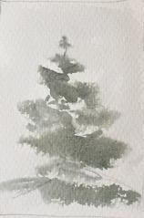 The result is broken marks which can be left alone to imply a texture such as a rock surface or some rough surfaces or can be added to with more strokes such as I have done with the pine tree.