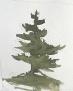a Pine tree. This method is comfortable because we are in control - no real surprises here. A recognizable pine tree but does it interact with the atmosphere??? 2 - Soft edges.