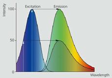 com) Emission intensity depends on excitation efficiency The more efficient excitation induces the stronger signal of emitted light.