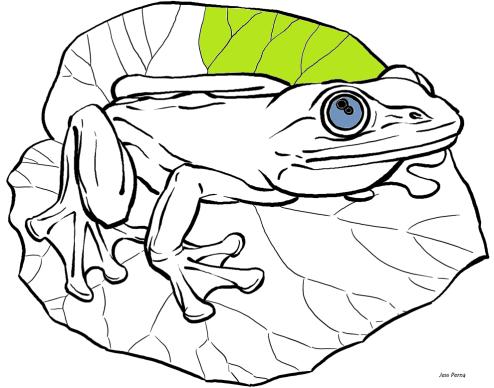 Just for fun, download the frog, use the fill tools, paint can, and pencil to color this image.