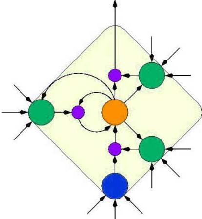 Feedback networks are dynamic; their 'state' is changing continuously until they reach an equilibrium point.
