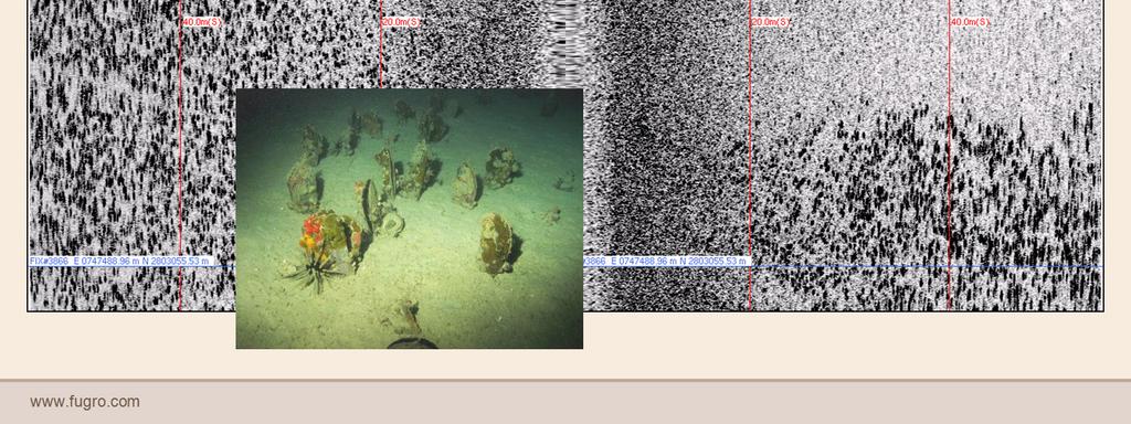 sidescan sonar data with