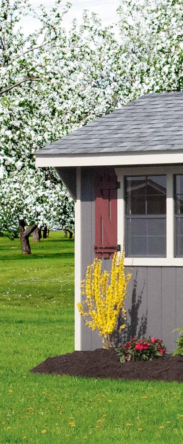 deluxe carriage House Base Model Includes (2) Windows 10x14 and Bigger (1) Window 10x12 and Smaller 6