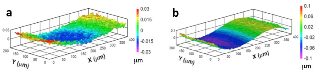 Supplementary Figure 5. Dynamic profile measurements of the MEMS during different phases of its oscillation cycle.