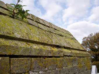 simple coping of triangular section was constructed. This work incorporates slabs of stone acting as a base to the capping.