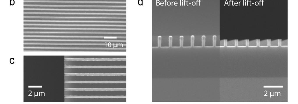 Si nanochannels are then fabricated by reactive-ion etching and an Au layer is sputtered without removing the resist.