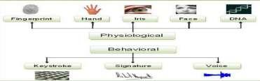 A COMPARATIVE STUDY OF VARIOUS BIOMETRIC APPROACHES Ramandeep Chahal Department of CSE GVIET, Banur, Punjab, India ABSTRACT Biometric is the science for recognizing an individual on the basis of his