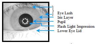 Iris Recognition using Left and Right Iris Feature of the Eye for Bio-Metric Security System B. Thiyaneswaran Assistant Professor, ECE, Sona College of Technology Salem, Tamilnadu, India. S. Padma Professor, EEE Sona College of Technology Salem, Tamilnadu, India.