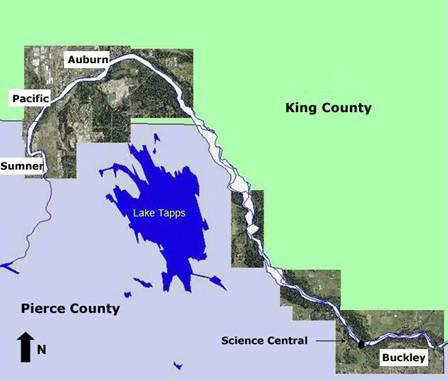 Pierce County Biodiversity Management Areas Bioblitzes