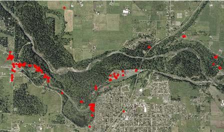 Lower White River Bioblitzes June, 2006 Total Participants: