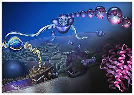 Future Trends: Biotechnology Coupling of artificial biological systems to