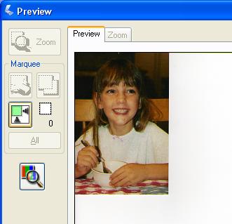 Follow these steps to preview your image(s) in Home or Professional Mode: 1. Click the Preview button toward the bottom of the Epson Scan window.