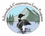Knowing the seasonal migratory patterns and year-round habitat utilization of loons will enable wildlife managers to focus their efforts based on the risks the birds are exposed to throughout their