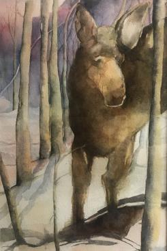 12x18 Moose 