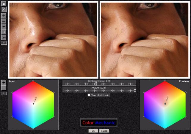 Example 5: Removing facial reflections From here, the remaining steps to making the final correction are as follows: 1) Start Color Mechanic and zoom in on the face to make it easier to select the