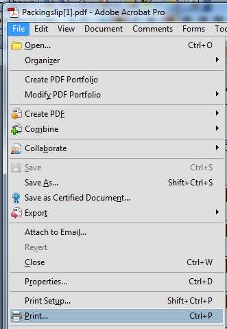 2. Click File and Print.