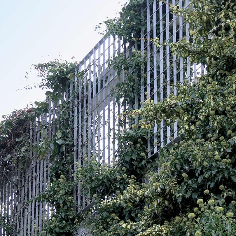 Genoa Applications: Residential Trellis / Green Wall Aperture: 126x132 Flat