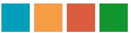 Supporting Color Palette These make up our core color palette. These are muted, not too bright tones to support other tones when branding.