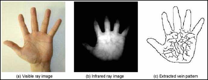Simply hold your palm a few centimetres over the scanner. Fig-2.