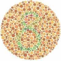 females are colour blind 17 Test for Colour Blindness