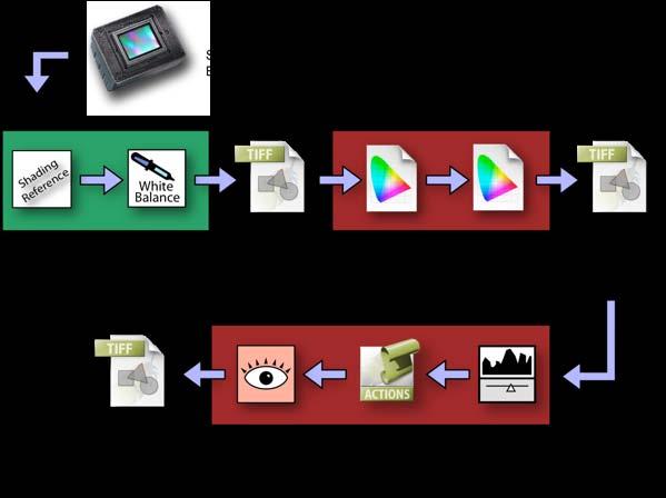 Figure 1. NGA s digital workflow. Areas in green are camera software processing. Areas in red are Adobe Photoshop software processing. The RIT workflow is diagrammed in Figure 2.