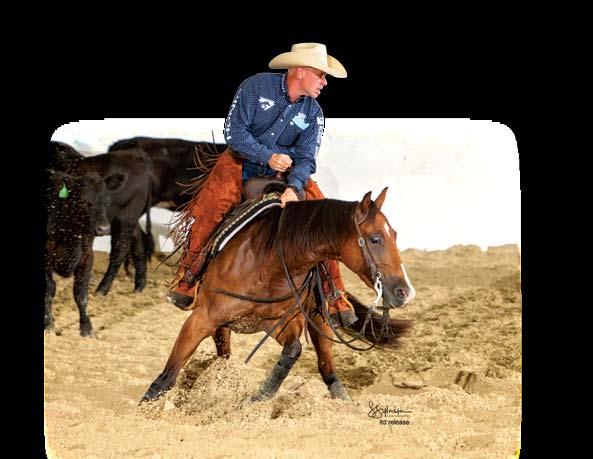 showed the colt as a semi-finalist in the 1988 NCHA Futurity and as reserve champion of the 1989 Memphis Futurity.