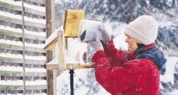 If you opt for a large-volume seed feeder, protect it from the weather and keep it clean. If after months of use, the birds suddenly abandon your feeder full of seed, it s time for a cleaning.