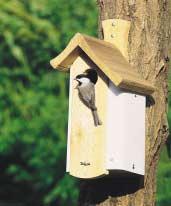 Chickadees, Nuthatches and Titmice Chickadees, titmice and nuthatches share the same food, feeders, and habitat.