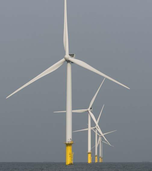 LESSONS LEARNED Large wind farm sites and phased approach Large wind farm sites: Allow for