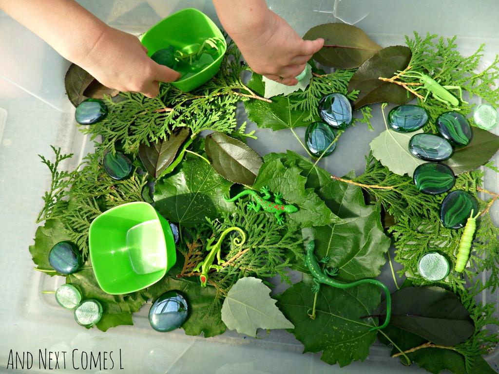 Green Sensory Fun Put all of the green materials in the bins Explore!