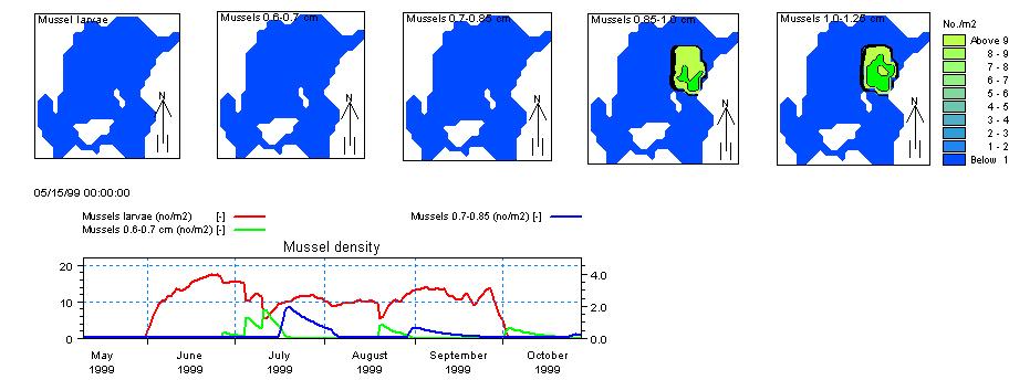 Assessing habitat quality in a dynamic environment Example: Benthic habitat prediction (mussel growth) 52 interacting state