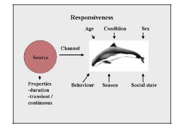 Estimation of displacement effect ranges for harbour porpoise during OWF construction (pile-driving) Some data from Horns Rev 1 Complex response,