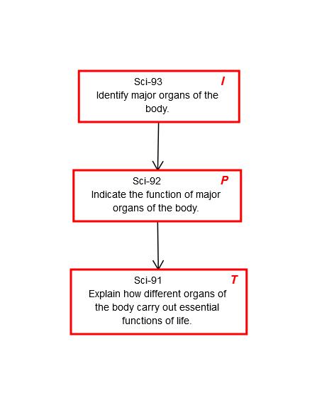 SCI.EE.HS-LS1-1 Explain how different organs of the body carry out essential functions of life.