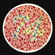 Colour and Vision True colour blindness, which is the ability to only see shades of grey, is very rare, occurring in about 1 person in 40 000.