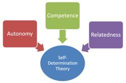 Self determination theory One of the most popular general motivation theories. It is also applied to games.