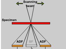 Z contrast Z contrast usually refers to STEM high resolution image The image is formed by HAADF (high annular angle dark field) detector as shown in figure Imaging beam condition is always away