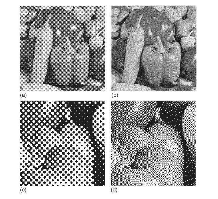 Figure 1: examples of AM and FM halftoning result images. (a) AM halftone.
