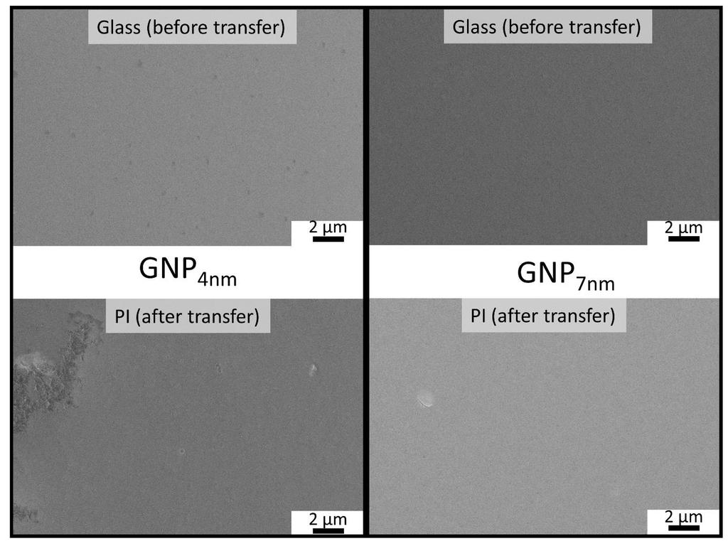 3. SEM Images of GNP 4nm and GNP 7nm Films Before and After Transfer Figures S3 and S4 show SEM micrographs of GNP films prepared from both particle samples, i.e., GNP 4nm and GNP 7nm.