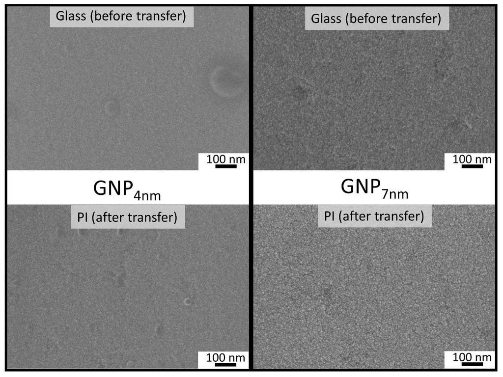Figure S4. High magnification images of GNP 4nm and GNP 7nm films on glass and PI.