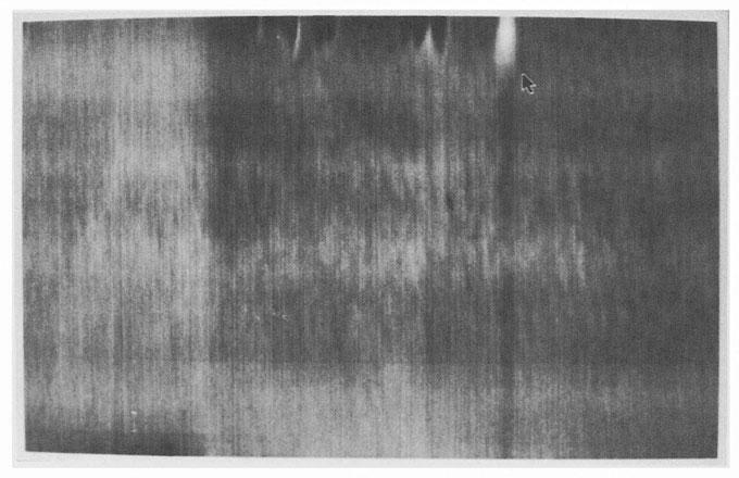 A thermal image of the coating of the same area as in the Fig. 2.