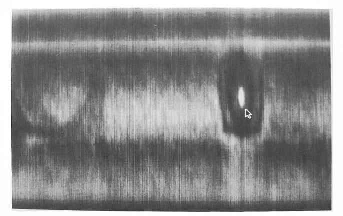 thermal image as brighter areas. Fig. 7.