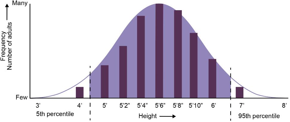 Graphs and charts Most anthropometric data is presented as a bell graph It s not easy to make products fit 100% of the