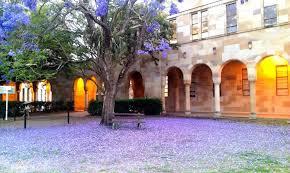 Snapshot of the University of Queensland (UQ) in 2018 UQ is a one of Australia s leading research and teaching institutions UQ is one of only three Australian members of the global Universitas 21 UQ